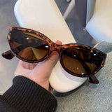 Lianfudai  Vintage Cat Eye Sunglasses New Summer Fashion Elliptic Square Eyewear Sun Shades Glasses UV400 Oval Frame Sunglasses Women Men Glasses