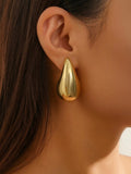 Lianfudai 2024 New Advanced Photosensitive Surface Comma Earrings
