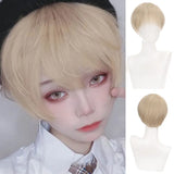 Lianfudai Short Straight Black White Grey Synthetic Men's Wig With Bangs For Everyday Anime Cosplay Party