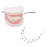 Lianfudai 2Pcs/pair Temporary Tooth Decoration With Metal Wires Colorful Metal Bracket And Orthodontic Ligature Ties Dental Decorations