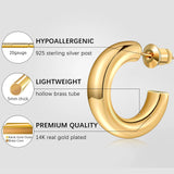 Lianfudai Earrings for Women 14K Real Gold Plated Copper Hoop With 925 Sterling Silver Post New Cute Modern Jewelry For Women