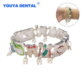 Lianfudai 1PCS Dental Tooth Shape Bracelets Hand Chain Charm Hygienist Creative Enamel Bracelet For Women Fashion Dentistry Jewelry Gifts