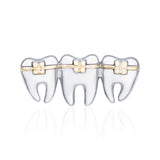 Lianfudai Cute Tooth Pin Brooch Gold Silver Plated Medical Delicate Teeth Badge Lapel Pins Metal Woman Gift Doctor Nurse Jewelry