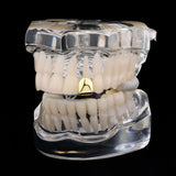 Lianfudai 2024 Hip Hop Small Single Teeth Grillz Classic 14K Gold Plated Tooth Caps For Men Women Jewelry Dental Grills