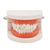 Lianfudai 3pcs/Box Dental Tooth Gems Crystal Diamond Metal Tooth Ornaments Various Shapes Color Teeth Jewelry