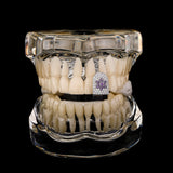 Lianfudai Hip Hop Shiny Purple Sun Zircon Single Teeth Grillz 14K Gold Plated CZ Stone Tooth Caps For Women Jewelry Dental Grills
