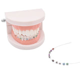 Lianfudai 1 Pair Temporary Tooth Decoration With Metal Wires Colorful Metal Bracket And Orthodontic Ligature Ties Dental Decorations