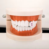 Lianfudai Hip Hop Single Tooth Grillz Cap Top Bottom Dental Grill Teeth Caps Halloween Cosplay