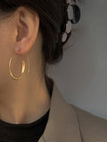 Lianfudai 2024 New Normcore Geometric Matte Earrings
