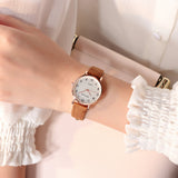 Lianfudai Women's Simple Vintage Watches for Women Dial Wristwatch Leather Strap Wrist Watch High Quality Ladies Casual Bracelet Watches