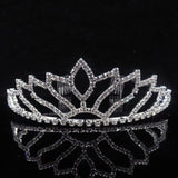 Lianfudai Christmas gifts for her Princess Crown Bride Tiaras Hair Comb Ornaments Jewelry Headband Crystal Pearl Wedding Crown Hairband Women Headwear