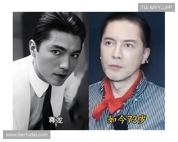 尊龙真人娱乐如何确保游戏公平公正，透明的运营机制赢得玩家信赖